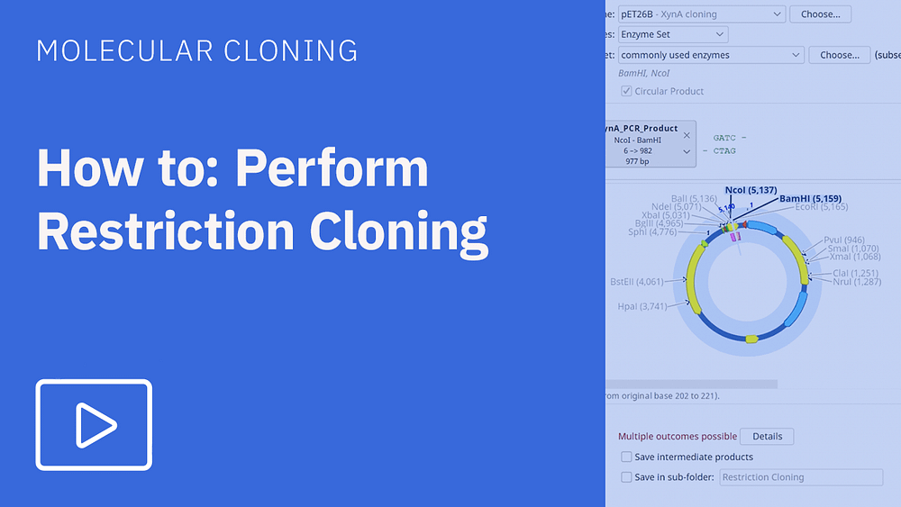 How to perform restriction cloning