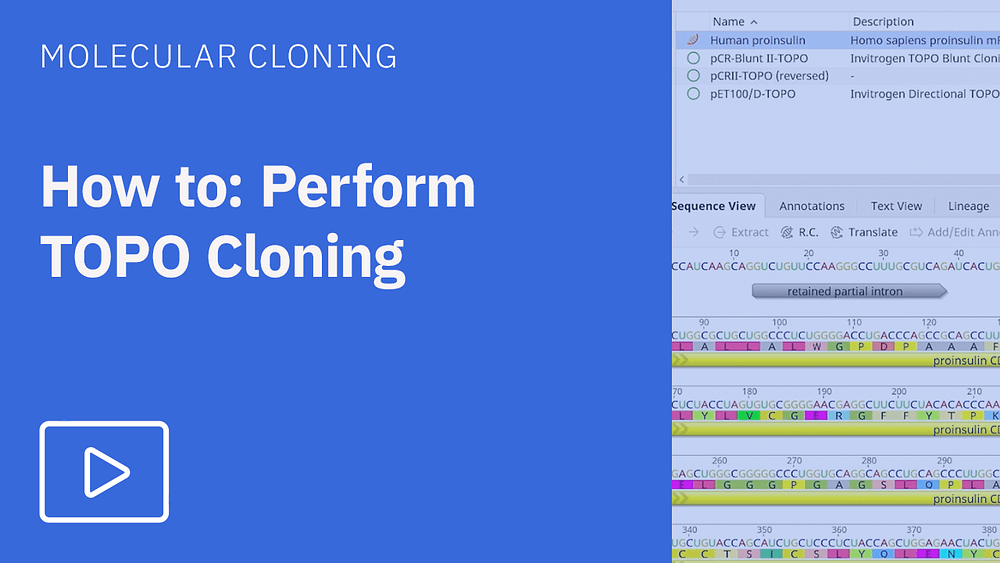 How to perform TOPO cloning
