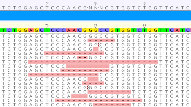 Cloning - Analyze CRISPR Editing Results