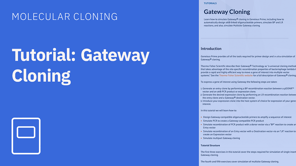 Tutorial gateway cloning