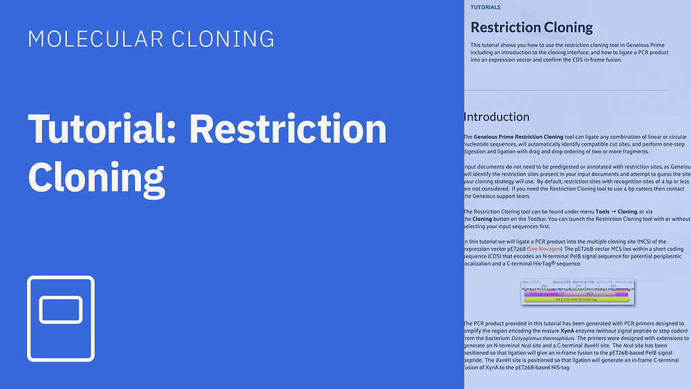 Tutorial restriction cloning