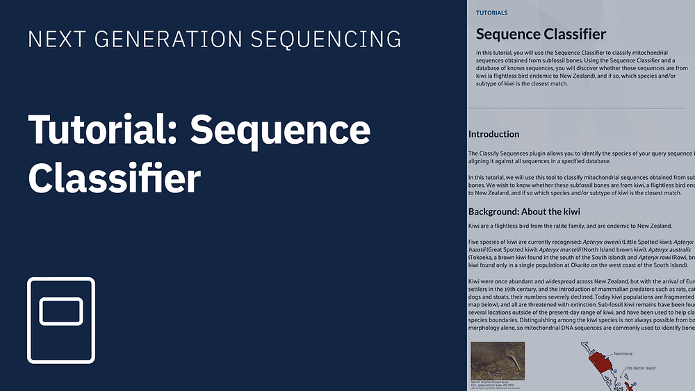 Tutorial sequence classifier