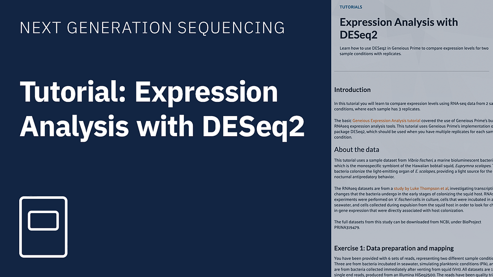 Tutorial expression analysis with DESeq2