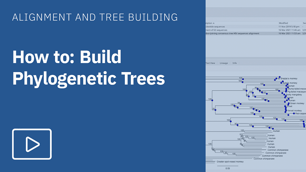 How to build phylogenetic trees