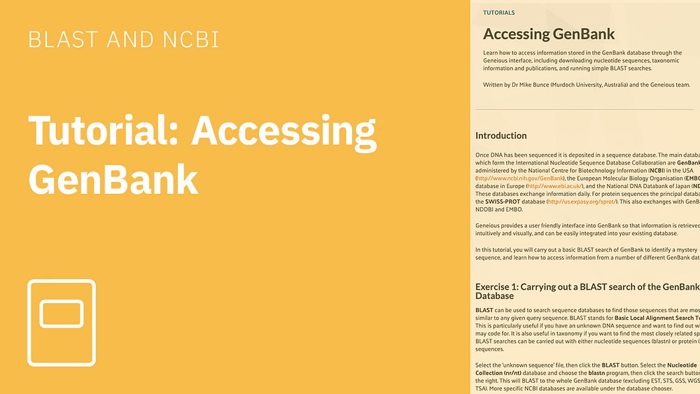 Tutorial accessing GenBank
