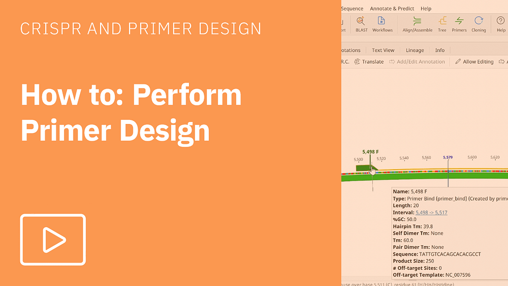 How to perform primer design