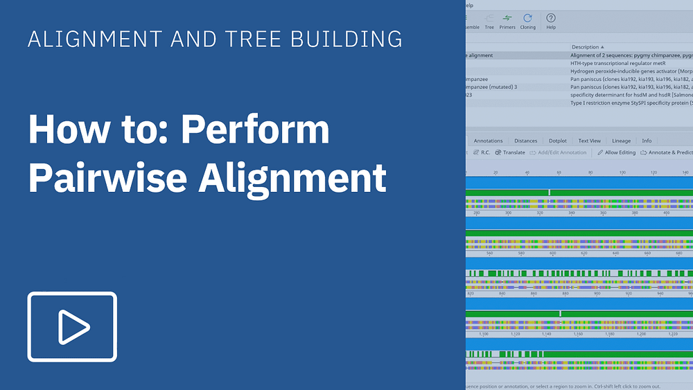How to perform pairwise alignment