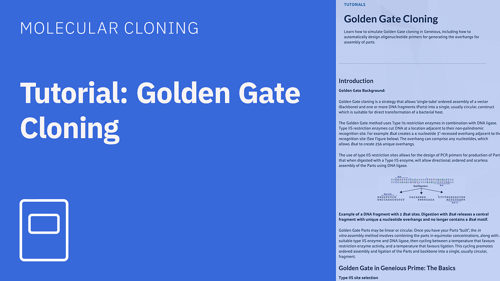 Tutorial golden gate cloning