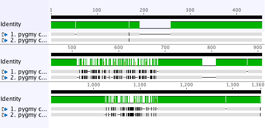 DNA_alignment_highlight