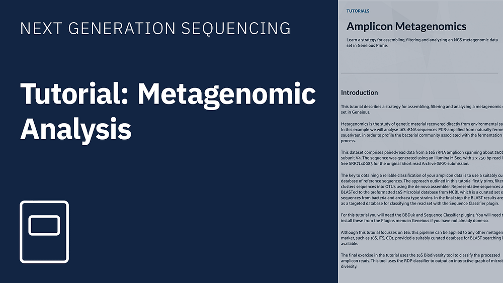 Tutorial metagenomic analysis
