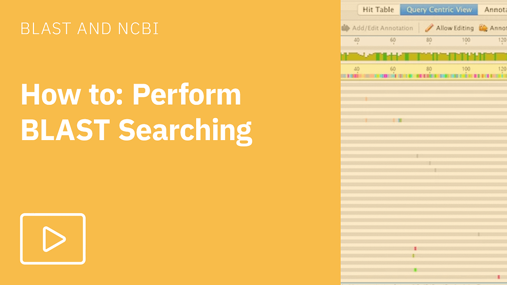 How to perform BLAST searching