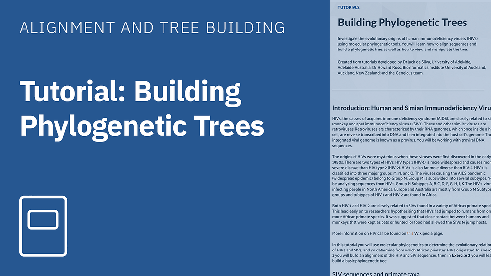Tutorial building phylogenetic trees