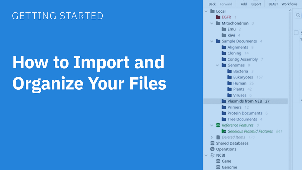 How to import and organize your files