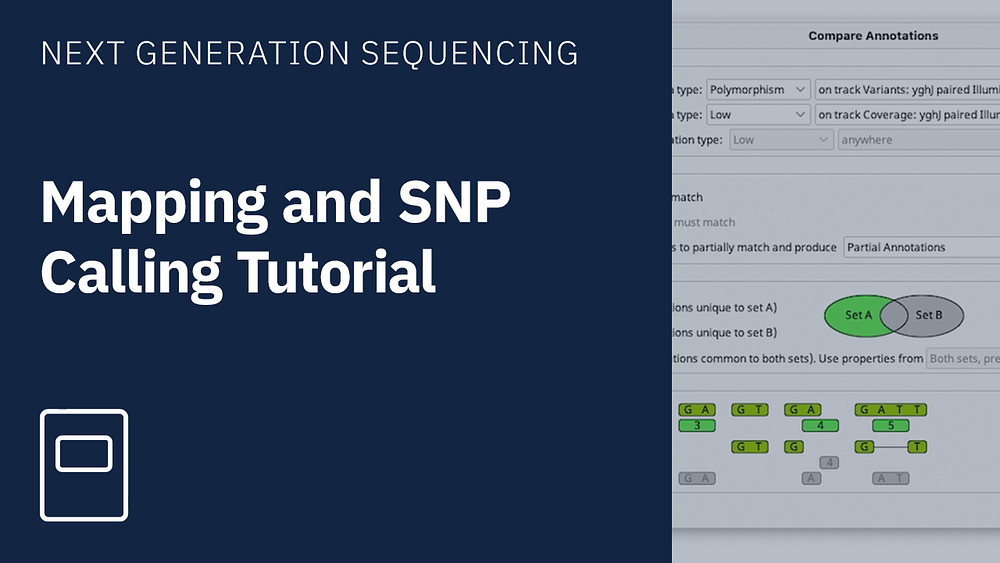 Mapping and SNP Calling tutorial