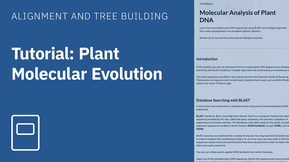 Tutorial plant molecular evolution