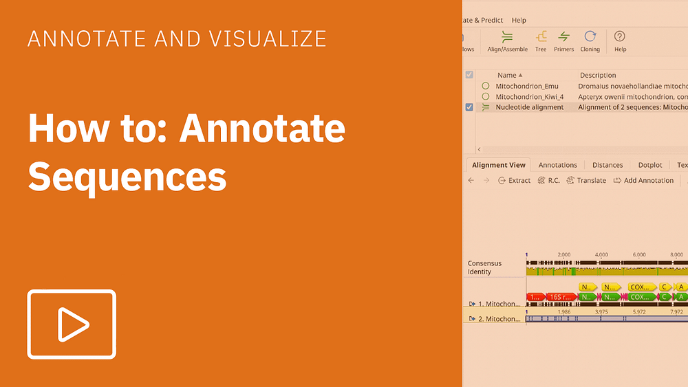 How to annotate sequences