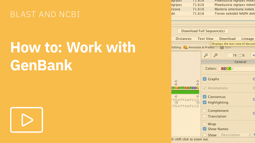 How to work with GenBank