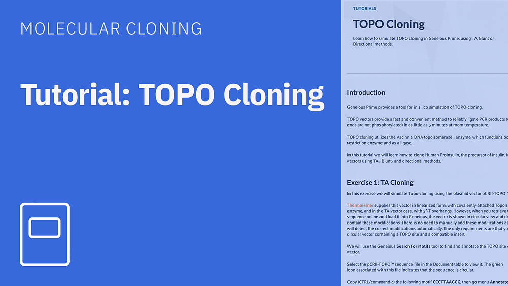 Tutorial TOPO cloning
