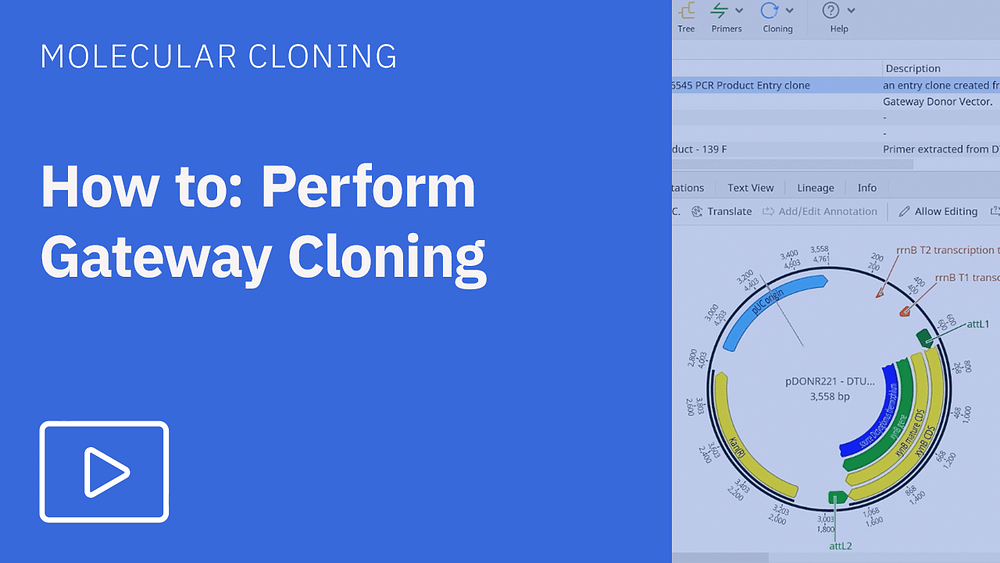 How to perform gateway cloning