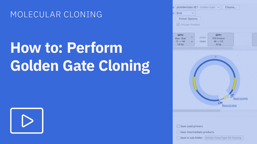 How to perform golden gate cloning