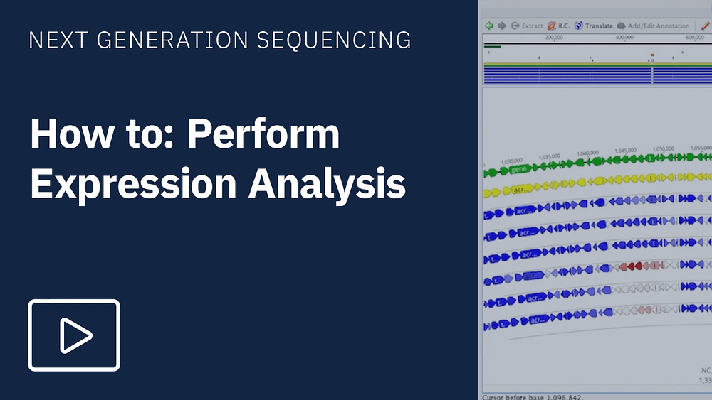 How to perform expression analysis