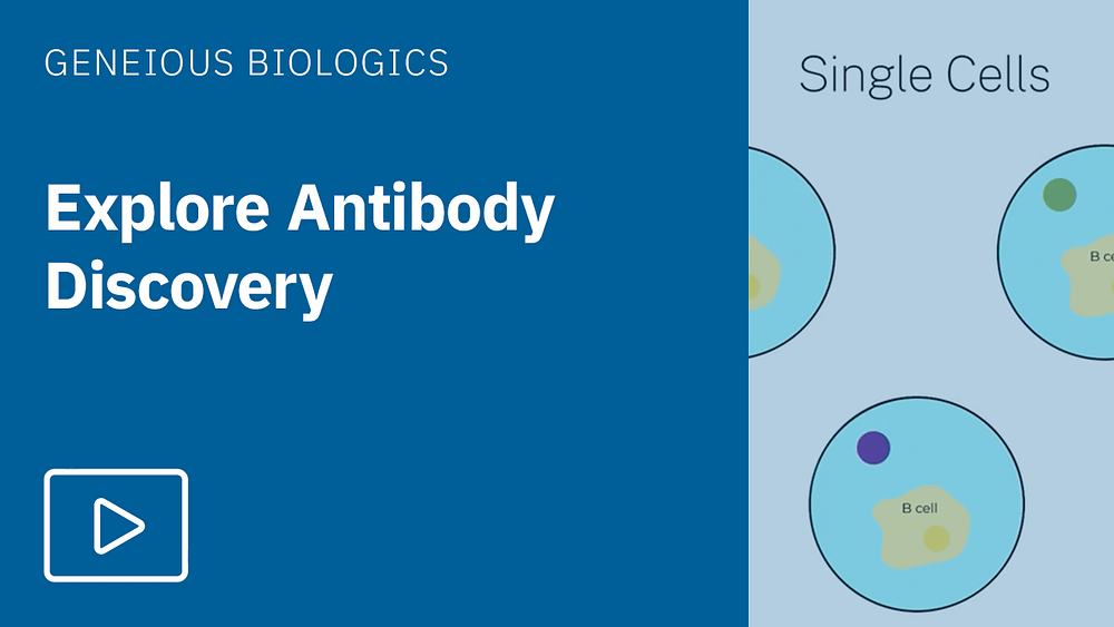 Explore Antibody Discovery thumbnail